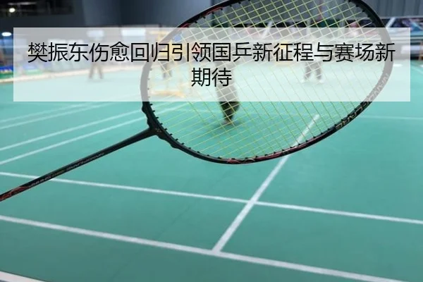 樊振东伤愈回归引领国乒新征程与赛场新期待